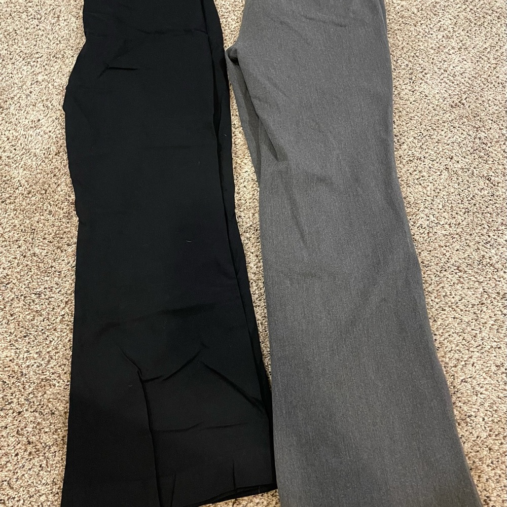 Express Editor Pants
